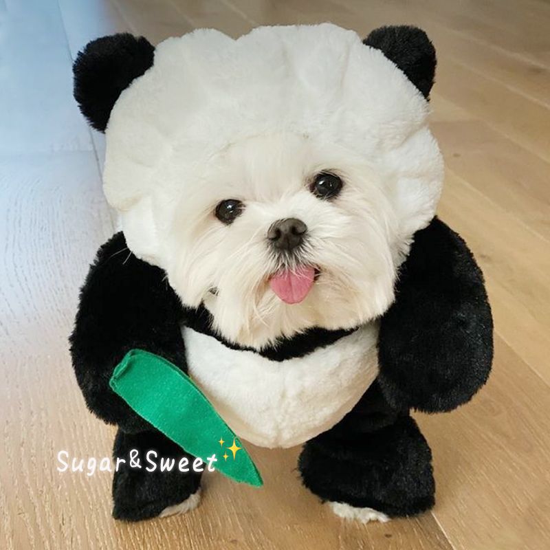 Bunny with Carrot & Panda with Bamboo Pet Costume – photo 4