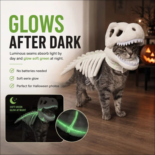 Dinosaur Skeleton Pet Costume – Dog & Cat Halloween Outfit