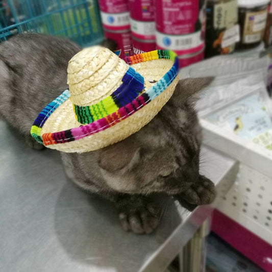 Woven straw mini sombrero for cats and small dogs