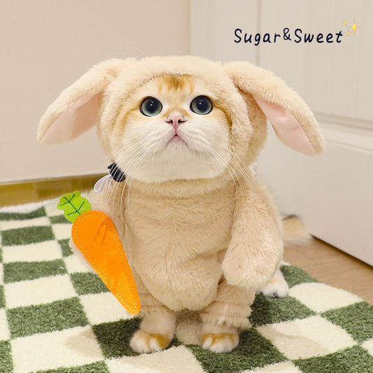 Bunny with Carrot & Panda with Bamboo Pet Costume