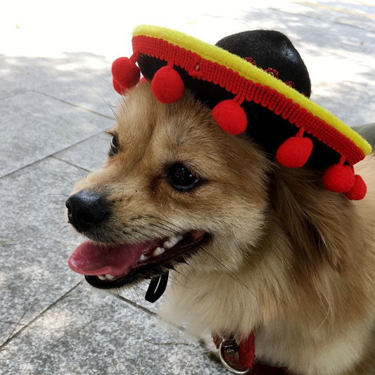 Mini sombrero hat for dogs and cats