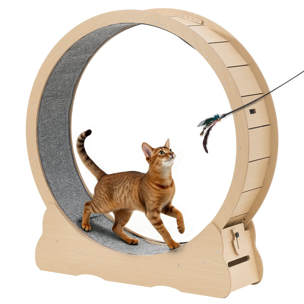 48" Wooden Cat Exercise Wheel – Quiet Indoor Cat Treadmill with Lock