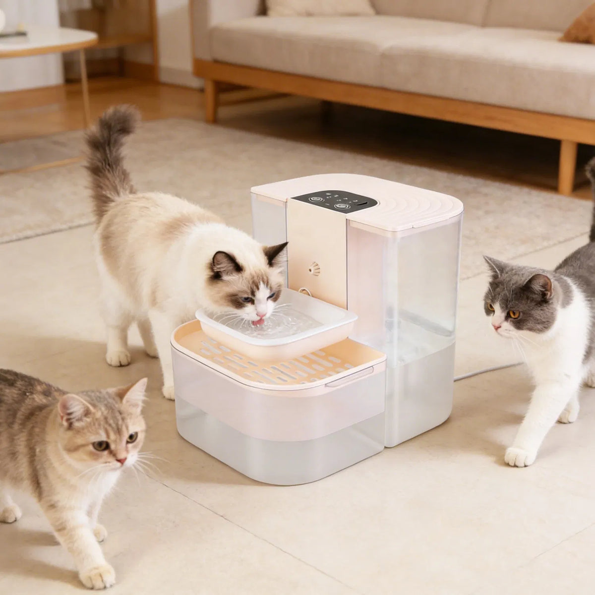 Cordless automatic pet water dispenser with ceramic bowl