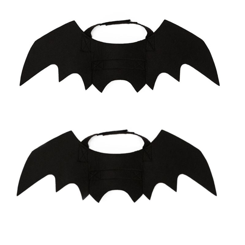 Bat Wings & Spider Costume for Cats and Small Dogs – Adjustable – photo 8