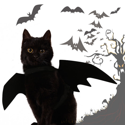 Bat Wings & Spider Costume for Cats and Small Dogs – Adjustable
